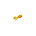 枣庄综合广播 Radio Logo