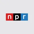 NPR 24 Hour Program Stream Radio Logo