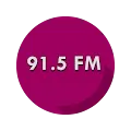 91.5 FM Panzer Radio Station Radio Logo