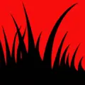 Radio Broussaille Radio Logo