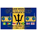 246 Bajan Vibes Radio Radio Logo
