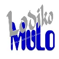 Lodiko Sodonyo Radio Logo