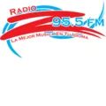 Radio Z 95.5 fm Radio Logo