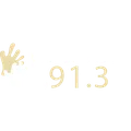 Bravo FM 91.3 Radio Logo