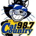 Cat Country 98.7 (WYCT) Radio Logo