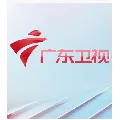 广东卫视伴音 Radio Logo