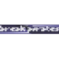 Break Pirates Radio Logo