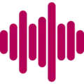 POP 95,1 Radio Logo