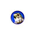 WZ2523 - NOAA Weather Radio Radio Logo