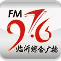 临沂综合广播 Radio Logo