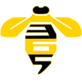 Hive365 Radio Logo